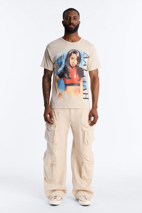 Aaliyah Princess Of R&B Short Sleeve Tee - Taupe